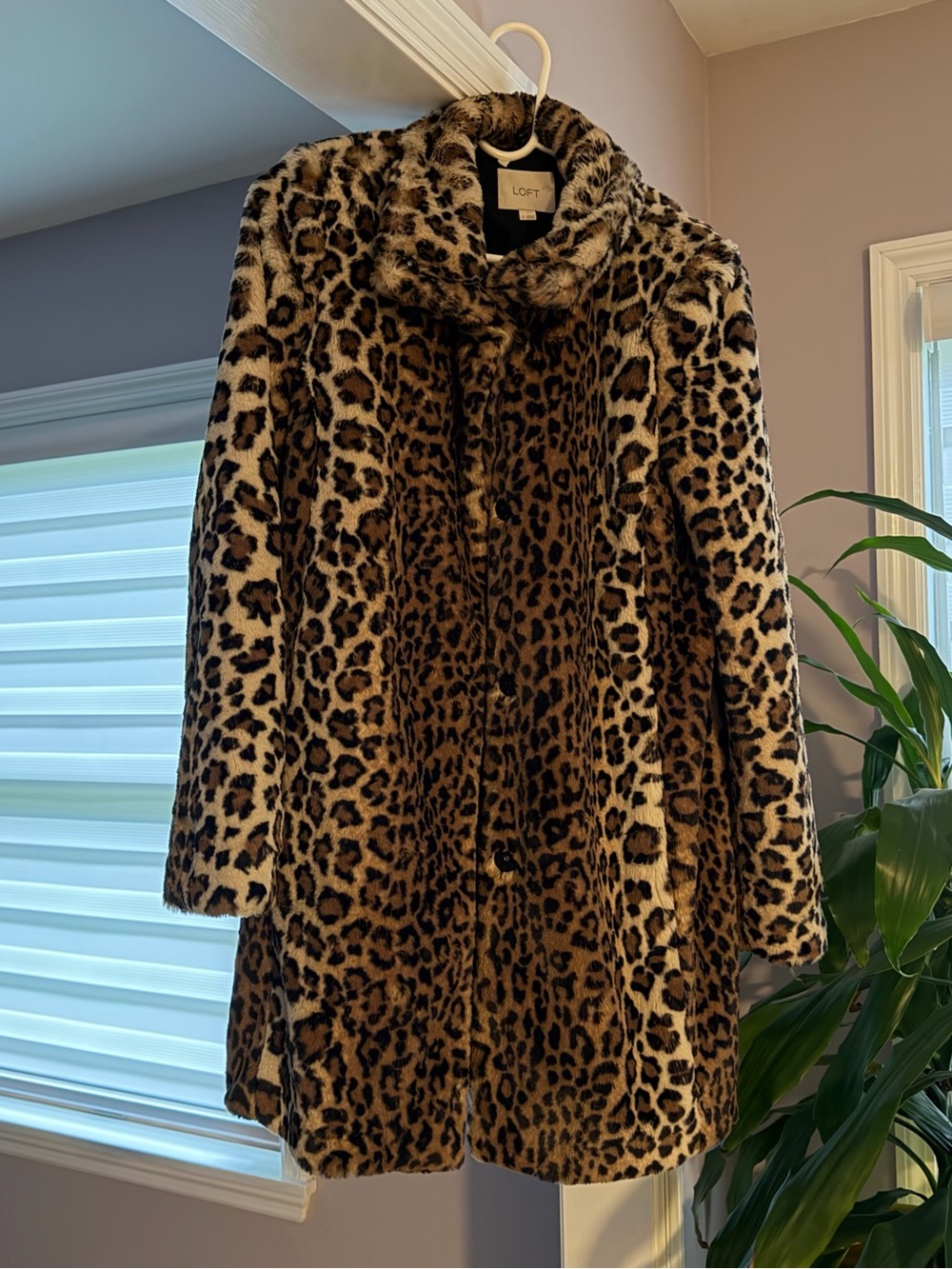 LOFT Leopard-Print Faux Fur Teddy Coat in Brown and Black small NWT cheetah $200